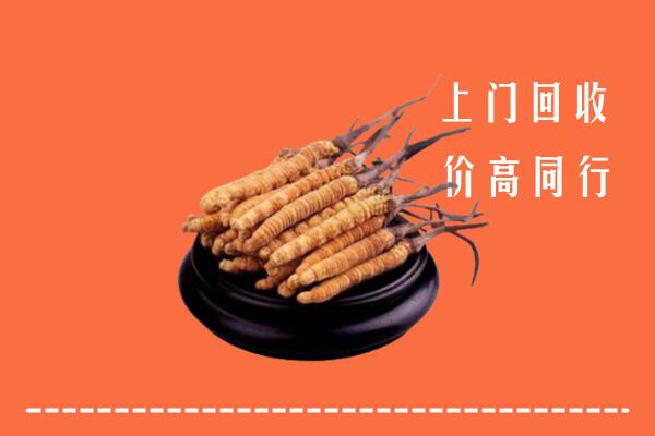收购行情：平川区回收散虫草